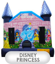 Disney Princess Castle