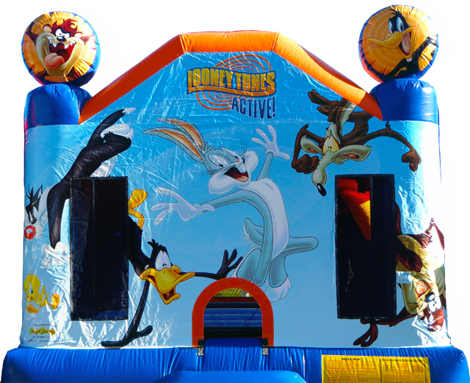 Looney Tunes Castle